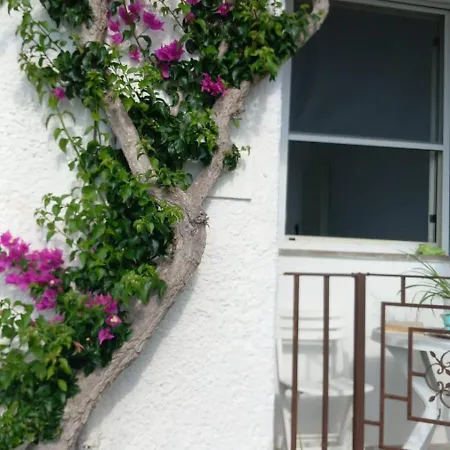 La Casa Di Tina Sant'Angelo (Isola d'Ischia)