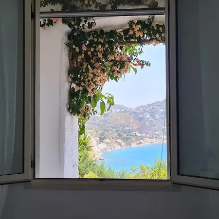 La Casa Di Tina * Sant'Angelo (Isola d'Ischia)