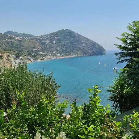 La Casa Di Tina Sant'Angelo (Isola d'Ischia)
