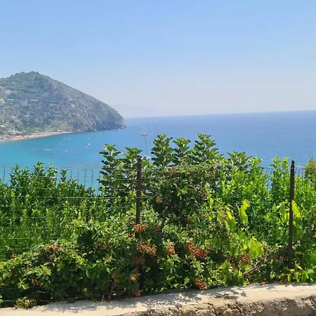 La Casa Di Tina بيت للعطل Sant'Angelo (Isola d'Ischia)