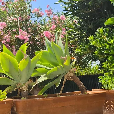 La Casa Di Tina بيت للعطل