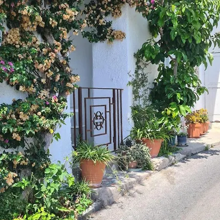 بيت للعطل La Casa Di Tina