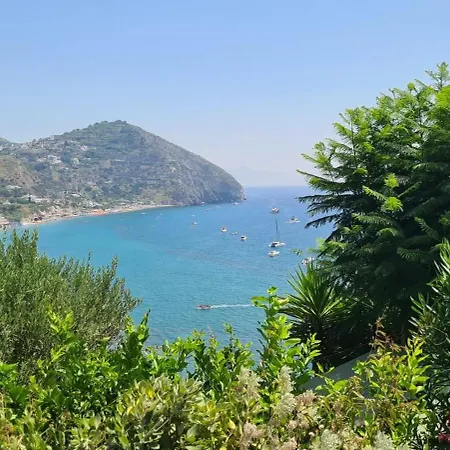 بيت للعطل La Casa Di Tina Sant'Angelo (Isola d'Ischia)