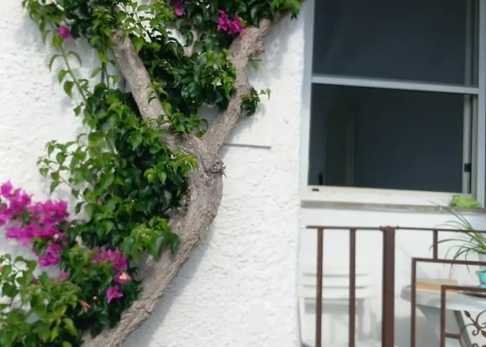 La Casa Di Tina Sant'Angelo (Isola d'Ischia)